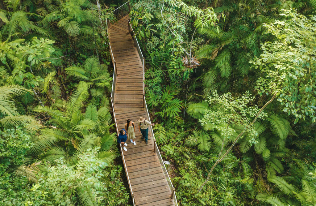Ett par på stämningsfull promenad i Cairns Wet Tropics med trygghet från sin reseförsäkring.